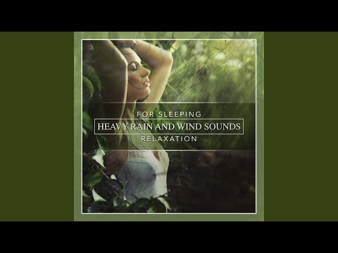 Heavy Rain and Wind Sounds for Sleeping & Relaxation