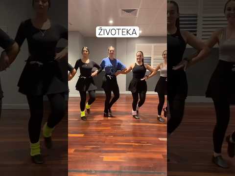 Rumunska svita kolo #kolo #uzivo #veselje #shorts