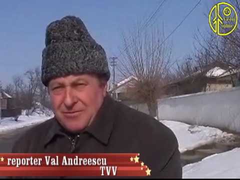 Drumuri in comuna Pogonesti