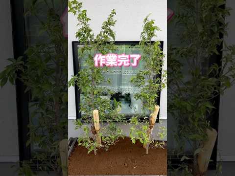 造園 – 最大限の快適さを実現する 26 のトレンディーなアイデア  庭園