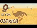 O Is For Ostrich ABC African Animals Songs Pastel Art