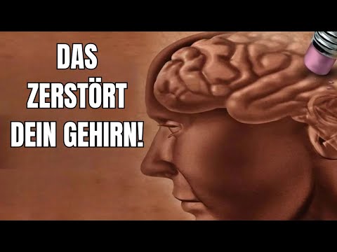 Achtung! Das zerstört dein Gehirn!