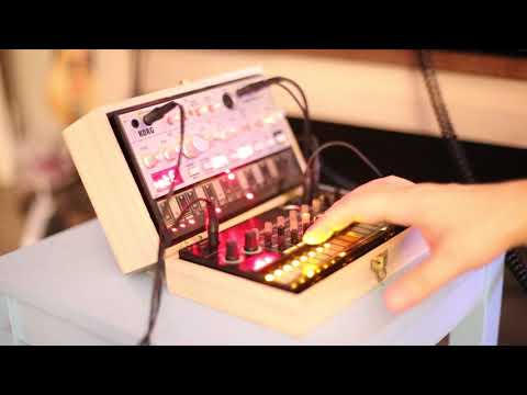 Korg Volca Bass and Beats Do "Plasticity" by Plastikman