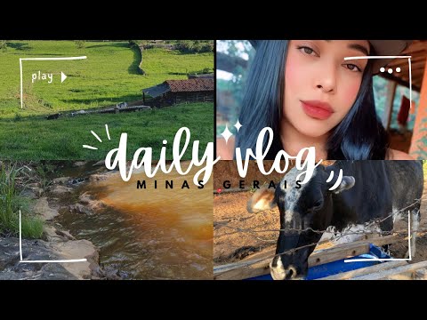 Um pouco da minha viagem em Minas Gerais        (Guaraciaba Minas Gerais)🐮🐴🐎🏠