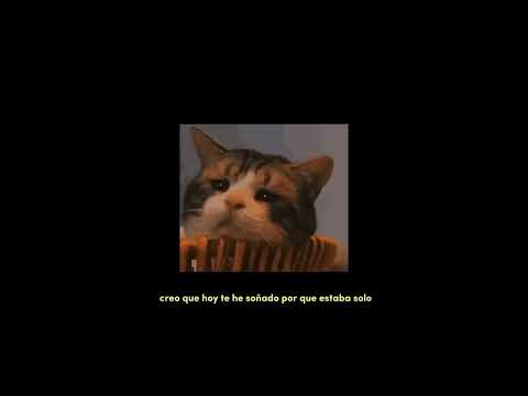 babi & denom - morir de la pena (letra)