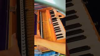 Download lagu aaj kal yaad kuch...Nagina song #harmoniumplayer #harmonium #music #90severgreen mp3 Download lagu aaj kal yaad kuch...Nagina song #harmoniumplayer #harmonium #music #90severgreen mp3
