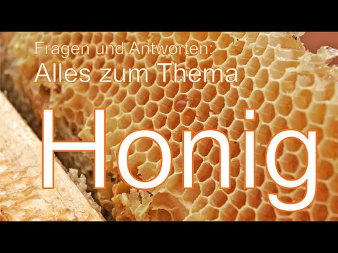 , title : 'Fragestunde "Honig"'