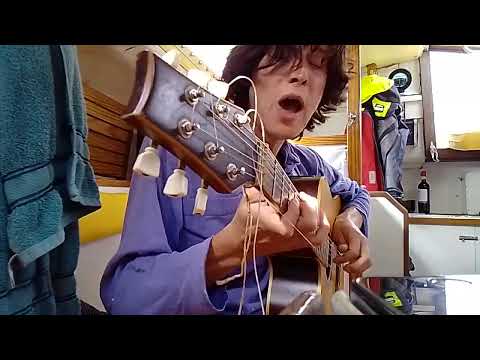 Sawdust And Diamonds - Joanna Newsom