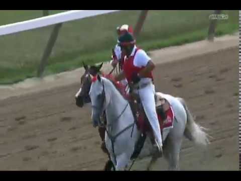 Songbird - 2017 Personal Ensign Stakes - Second Place Finish