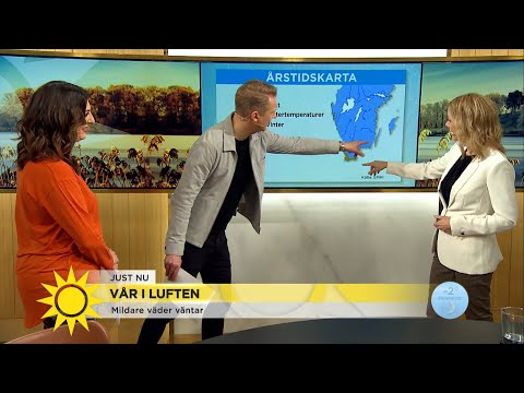Vår i luften: ”Nu ska vattnet sjunka undan” - Nyhetsmorgon (TV4)