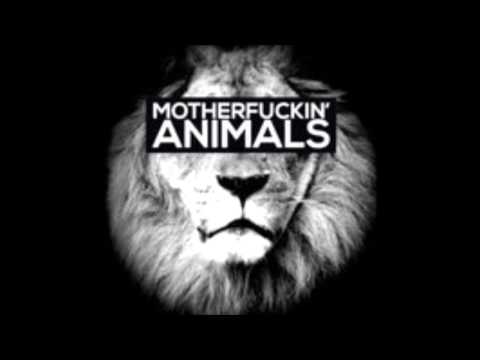 ANIMALS (MAOR LEVI REMIX) [EXCLUSIVE TEASER]