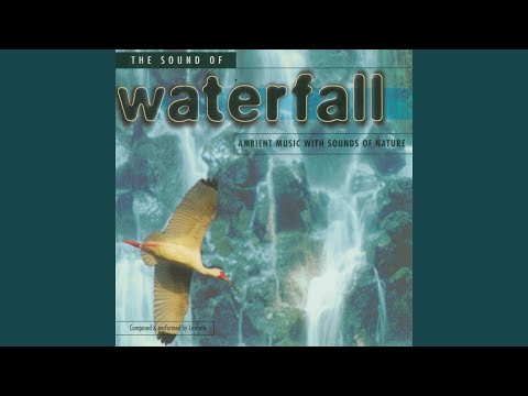 Early Morning Mistiness