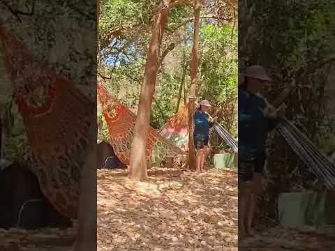 BEIRA DO RIO TOCANTINS, TOCANTINIA TO