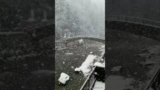 Download lagu Jurrivh - first love mp3 Download lagu Jurrivh - first love mp3