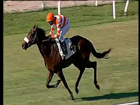 Galoppo 29/06/2018 - 1ª corsa