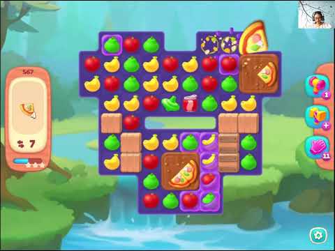 Wildscapes Level 567