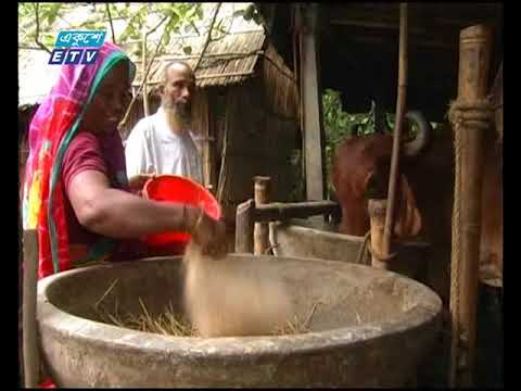 ব্যস্ত সময় পার করছেন খামারিরা