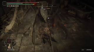 ELDEN RING:DLC#5