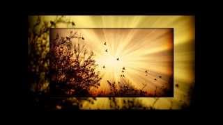 Buddha Bar XV - Stan Kolev - Anandi 2013