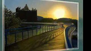 Jarabe de Palo Mi piace come sei JQR