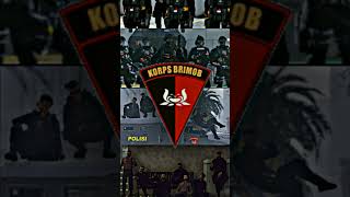 Download lagu story'wa korps brimob koplo | jedag jedug brimob terbaru #shorts #storywa #brimob #jj #abdinegara mp3 Download lagu story'wa korps brimob koplo | jedag jedug brimob terbaru #shorts #storywa #brimob #jj #abdinegara mp3