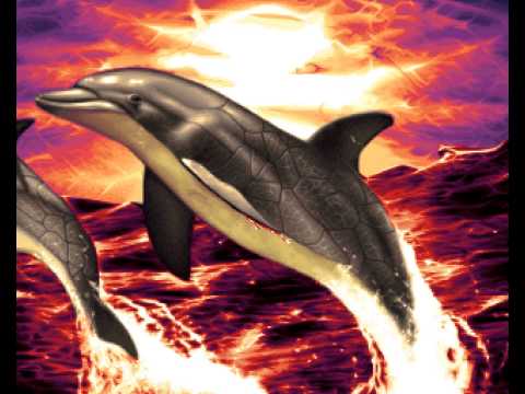 CNCD & Parallax - Deep (1995) [50fps]