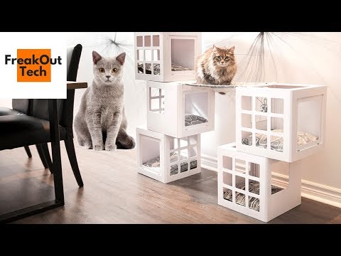 5 Awesome Inventions Your Cat Will Love | Best Cat Inventions Video