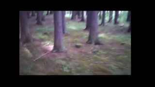 Video NIC - Sama v lese