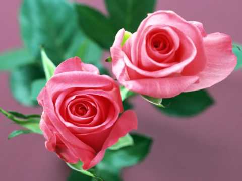 Ek Baat Bataoon [Full Song] (HD) - Milan