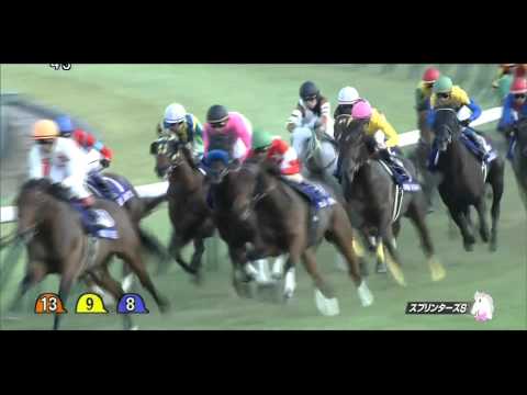 2015 スプリンターズS G1 ストレイトガール