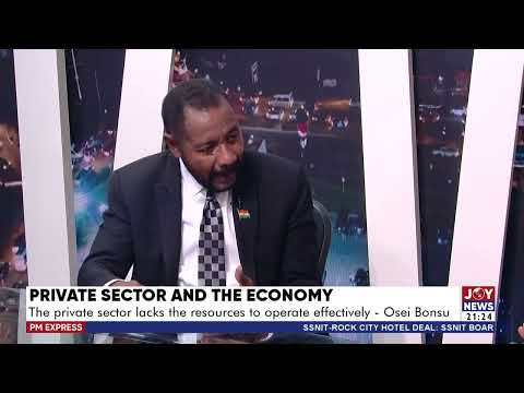 Private Sector and the Economy: The private sector is hurting badly - Osei Bonsu | PM Business