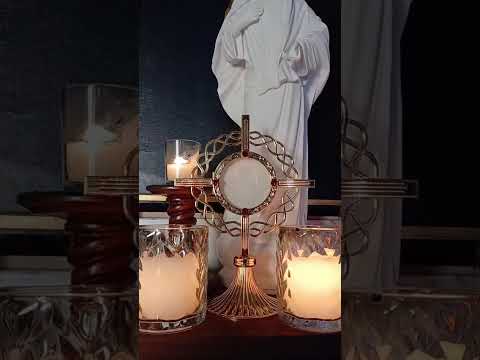 Adoración al Santísimo Sacramento del Altar con el Padre Fabian Esteban Oliva. 12//07/26
