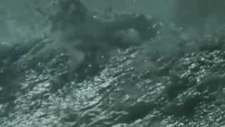 Hector Zazou - I&#39;ll Strangle You (1992)