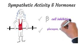 Muscles and Exercise