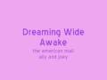 dreaming wide awake 