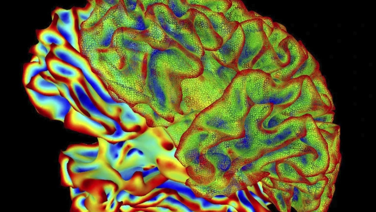 Neurotechnology Breakthrough Translates Brain Activity Directly into Descriptive Text