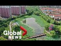 Soaking up ideas: How "sponge cities" can absorb water, prevent flooding