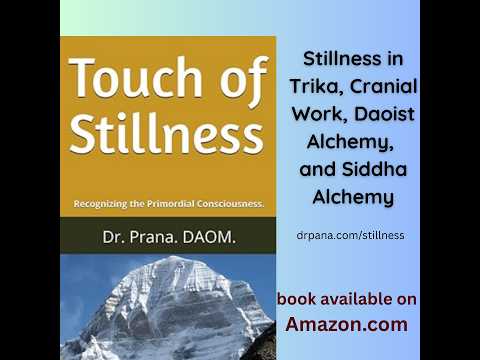 Conversation with Dr. Nidhi on Nondual Healing and Touch of Stillness