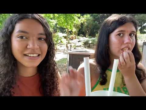 Diário de Intercâmbio #6 Picnic com os amigos 