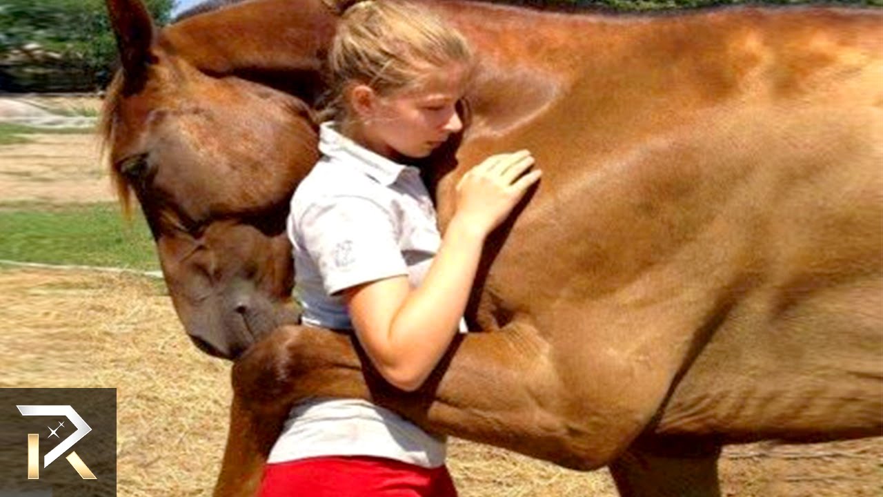 Unbelievable Animals That Saved People's Lives