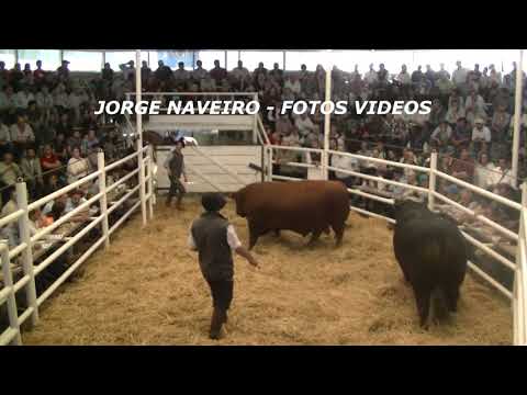 JORGE NAVEIRO - SANTO TOMAS DE LA SIERRA