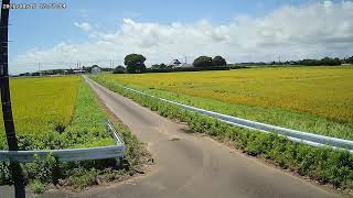 千葉県山武郡横芝光町北清水東里ライブカメラ
