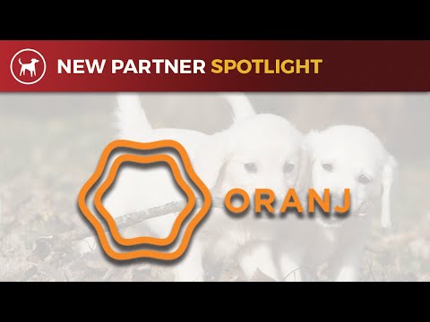 download lagu mp3 mp4 Oranj, download mp3 Oranj free download, download mp3 Oranj