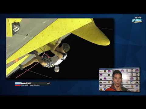 IFSC Climbing World Cup Briançon 2016   Lead   Finals   Men   Domen Skofic mp4