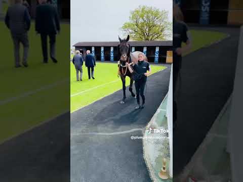 Sussex Raceday Round Up