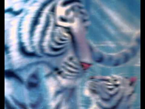 Blue Tiger'  from the album Aquarian Tiger                                           by David J Nann