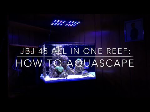 How To Aquascape a Reef Tank