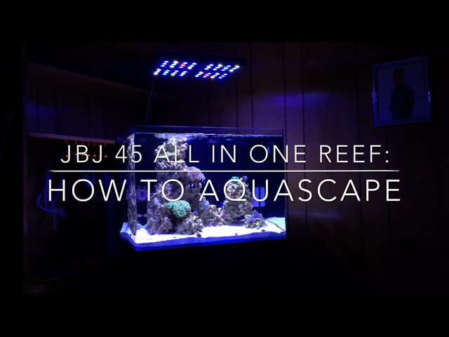 How To Aquascape a Reef Tank