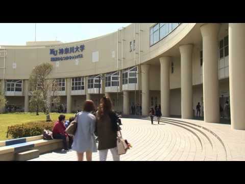 2013 神奈川大学　大学紹介Movie