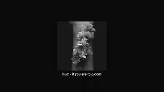hum - if you are to bloom (slowed + reverb)